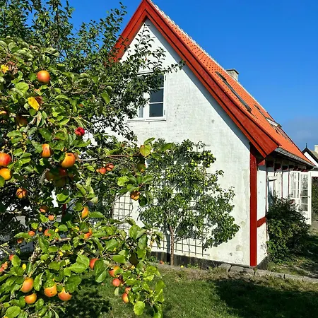 Half-timbered House By Arsdale Harbour Nyaraló Svaneke